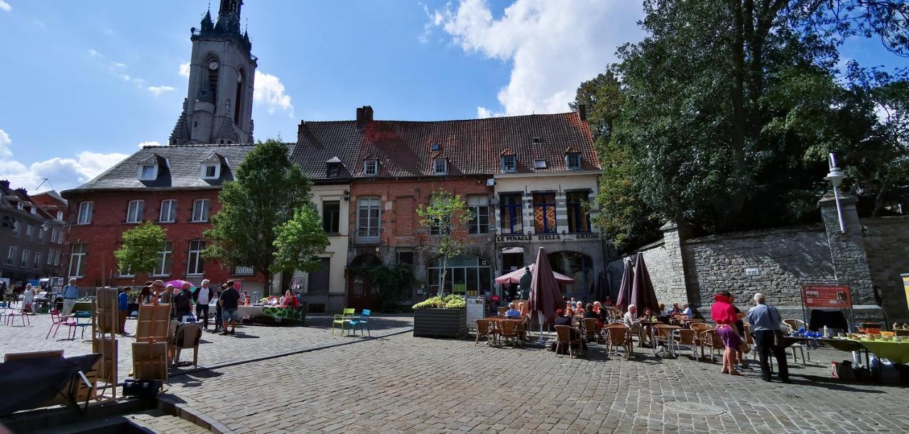 Appartement Spacieux & Calme Avec Vue Sur L'Escaut Tournai Eksteriør billede